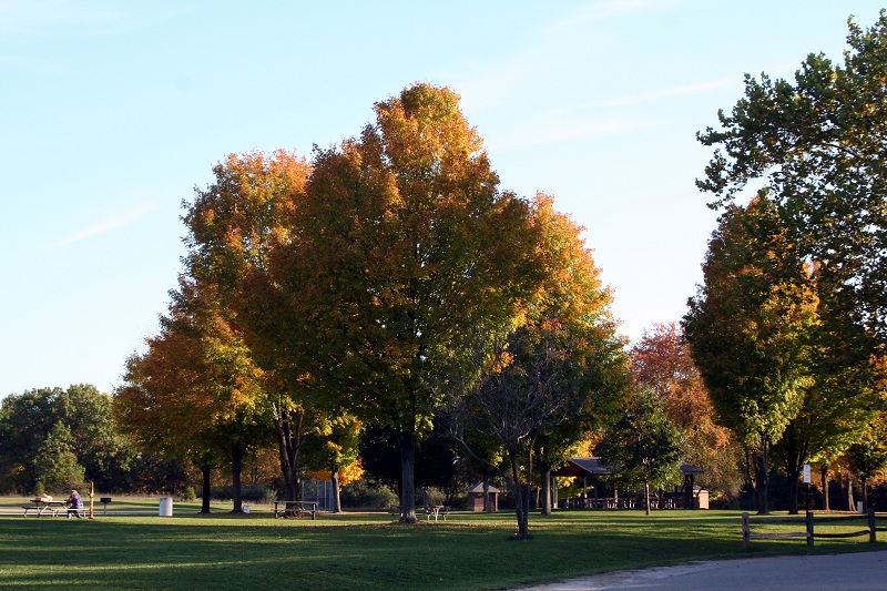 Hudson Mills Metropark